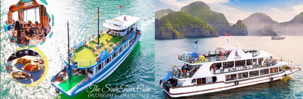 Standard Cruise: 48 passengers, includes set menu lunch - Deluxe Cruise: 72 passengers, includes buffet lunch