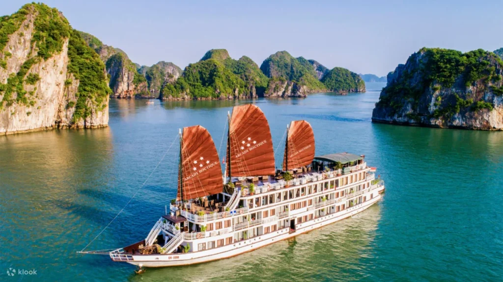 Arcady-Boutique-Cruise